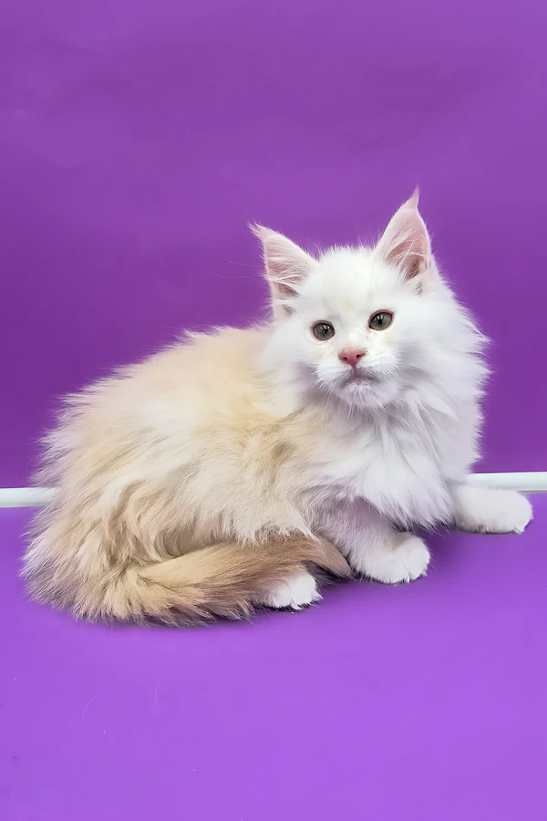Hi, I'm Penelope